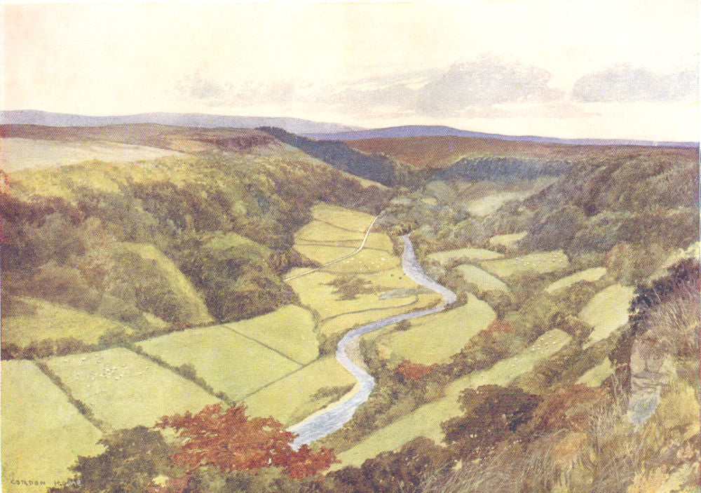 YORKS. Swaledale in the Early Autumn 1908 old antique vintage print picture